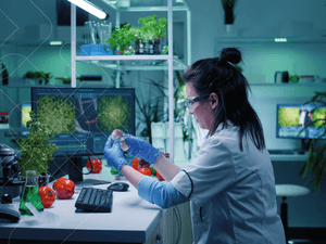 Higiene do Alimento: Microbiologia de Alimentos