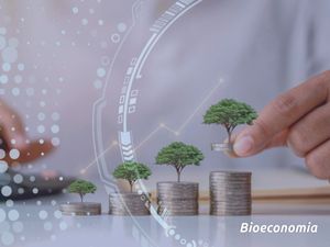 Bioeconomia: Por que é importante antecipar o futuro?