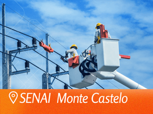 Eletricista de Redes de Distribuição de Energia Elétrica