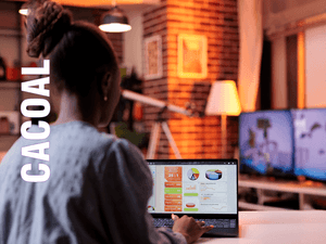 Implementação de Dashbords e Power BI