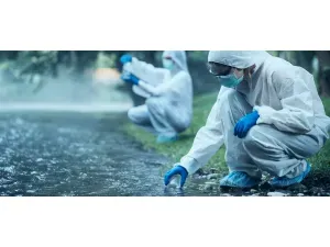 MBI em Descarbonização e Economia Verde