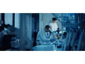 Técnico em Celulose e Papel