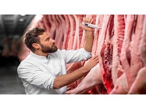 Auditoria interna de sistemas de gestão de qualidade e de segurança de alimentos