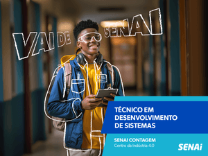 Técnico em Desenvolvimento de Sistemas