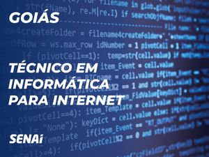Técnico em informática para internet