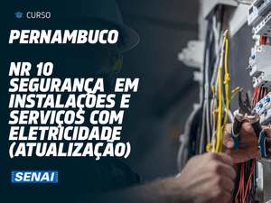 NR 10 - Segurança em Instalações e Serviços em Eletricidade - Atualização