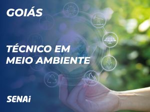 Técnico em meio ambiente