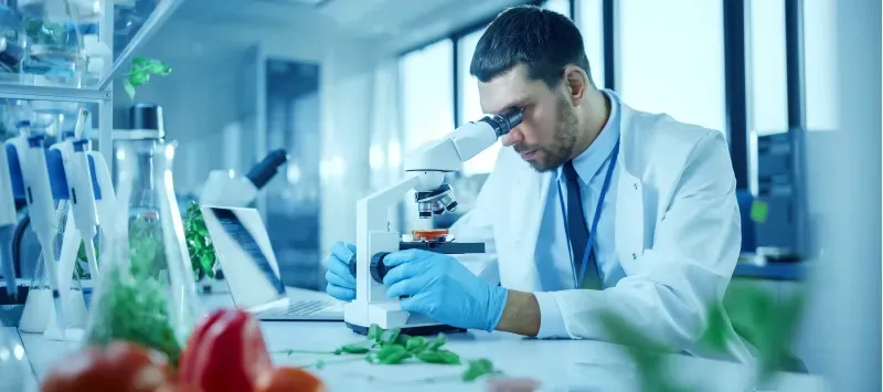 Fabricação de Panetones - QA FAPA 2025/2 N1