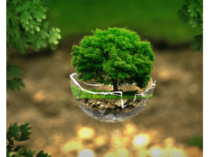 Formação ESG com ISO IWA 48:2024 - Princípios, KPIs e relatórios no novo modelo internacional
